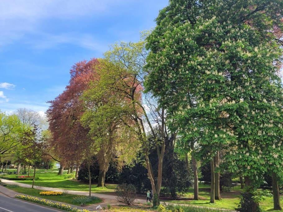 Mit Blick In Den Emsseepark Warendorf Buitenkant foto