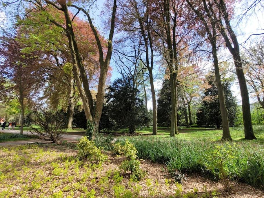 Mit Blick In Den Emsseepark Warendorf Buitenkant foto