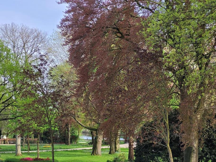 Mit Blick In Den Emsseepark Warendorf Buitenkant foto